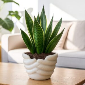 Hand-Carved Marble Planter – Subyaas Luxury Home Décor | Raj Marble Indoor Pot for Modern Homes